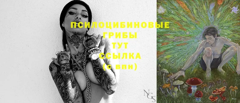 ссылка на мегу tor  Анива  Галлюциногенные грибы MAGIC MUSHROOMS  наркота 